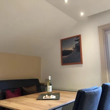 Apartman Ganze In Mit Privatem Balkon Leutasch